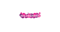Партнёр 13